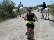 France-Provence-Cycling through Provence and Camargue